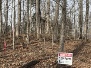 Property photo for land for sale in Clinton County Kentucky