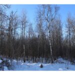 Property photo for land for sale in Mille Lacs County Minnesota