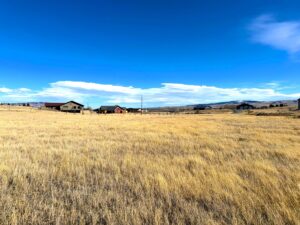 Property photo for land for sale in Park County Montana
