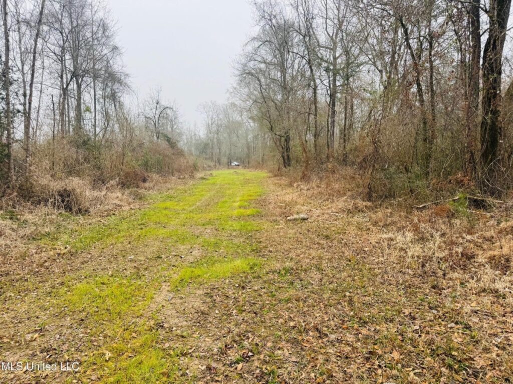 Property photo for land for sale in Walthall County Mississippi