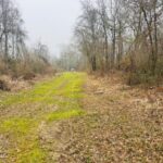 Property photo for land for sale in Walthall County Mississippi