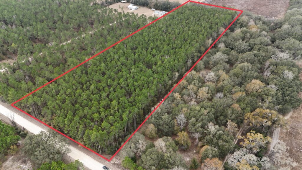 Property photo for land for sale in Levy County Florida