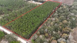 Property photo for land for sale in Levy County Florida