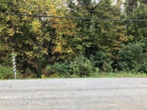 Property photo for land for sale in Mecklenburg County Virginia