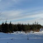 Property photo for land for sale in Pine County Minnesota