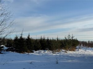 Property photo for land for sale in Pine County Minnesota