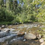 Property photo for land for sale in Chaffee County Colorado