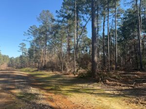Property photo for land for sale in Lincoln County Louisiana