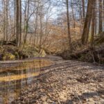 Property photo for land for sale in Jefferson County Mississippi