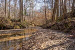 Property photo for land for sale in Jefferson County Mississippi