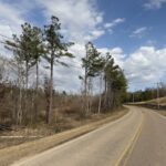 Property photo for land for sale in Hardin County Tennessee