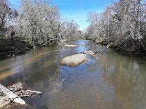 Property photo for land for sale in Pike County Mississippi