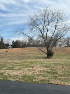 Property photo for land for sale in Warren County Kentucky