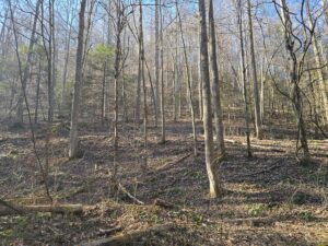 Property photo for land for sale in Dickenson County Virginia