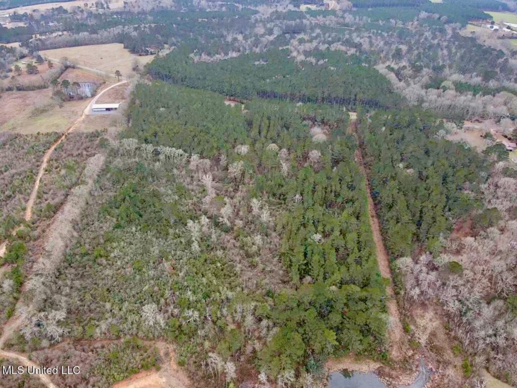 Property photo for land for sale in Pike County Mississippi