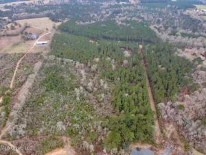 Property photo for land for sale in Pike County Mississippi