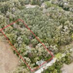Property photo for land for sale in Gilchrist County Florida