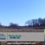 Property photo for land for sale in Mississippi County Arkansas