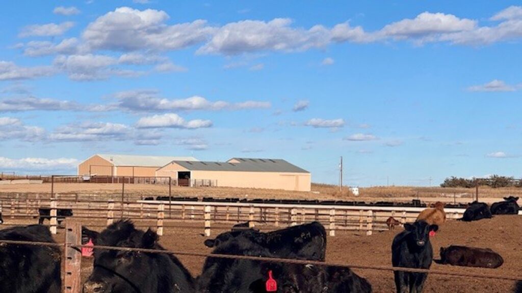 Property photo for land for sale in Dundy County Nebraska