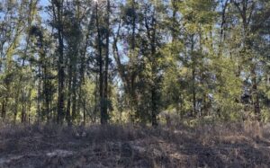 Property photo for land for sale in Hamilton County Florida