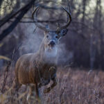 Best states to buy hunting land for lease