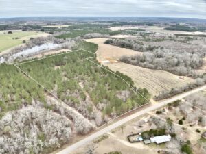 Property photo for land for sale in Geneva County Alabama