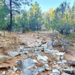 Property photo for land for sale in Bernalillo County New Mexico