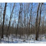 Property photo for land for sale in Mille Lacs County Minnesota