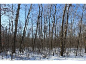 Property photo for land for sale in Mille Lacs County Minnesota