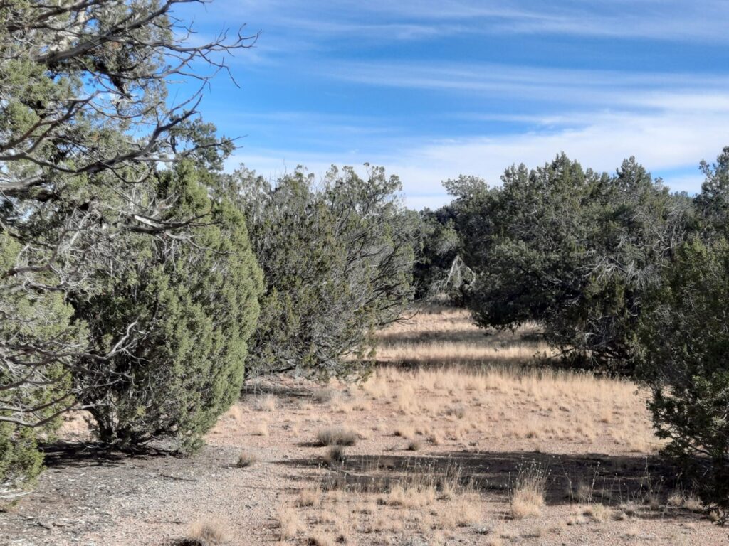 Property photo for land for sale in Yavapai County Arizona