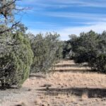 Property photo for land for sale in Yavapai County Arizona