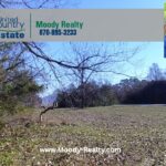 Property photo for land for sale in Mississippi County Arkansas