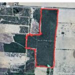 Property photo for land for sale in Duval County Texas