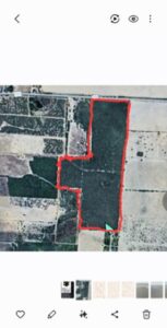 Property photo for land for sale in Duval County Texas