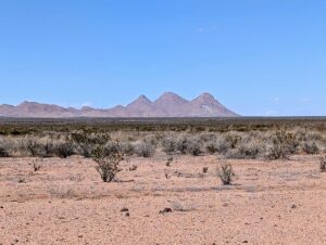 Property photo for land for sale in Luna County New Mexico