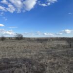 Property photo for land for sale in Comanche County Texas