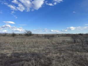 Property photo for land for sale in Comanche County Texas