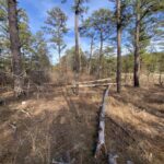 Property photo for land for sale in Izard County Arkansas