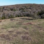 Property photo for land for sale in  County Oklahoma