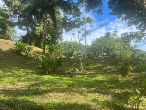 Property photo for land for sale in  County Panama