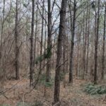 Property photo for land for sale in Hardin County Tennessee