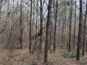 Property photo for land for sale in Hardin County Tennessee