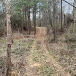 Property photo for land for sale in  County Mississippi