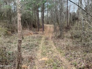 Property photo for land for sale in  County Mississippi