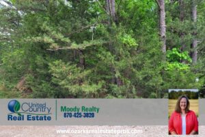 Property photo for land for sale in Sharp County Arkansas