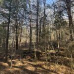 Property photo for land for sale in Casey County Kentucky