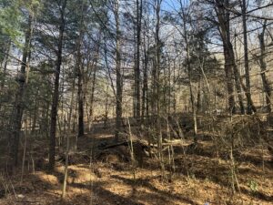 Property photo for land for sale in Casey County Kentucky
