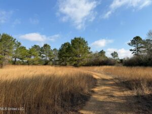 Property photo for land for sale in Marion County Mississippi