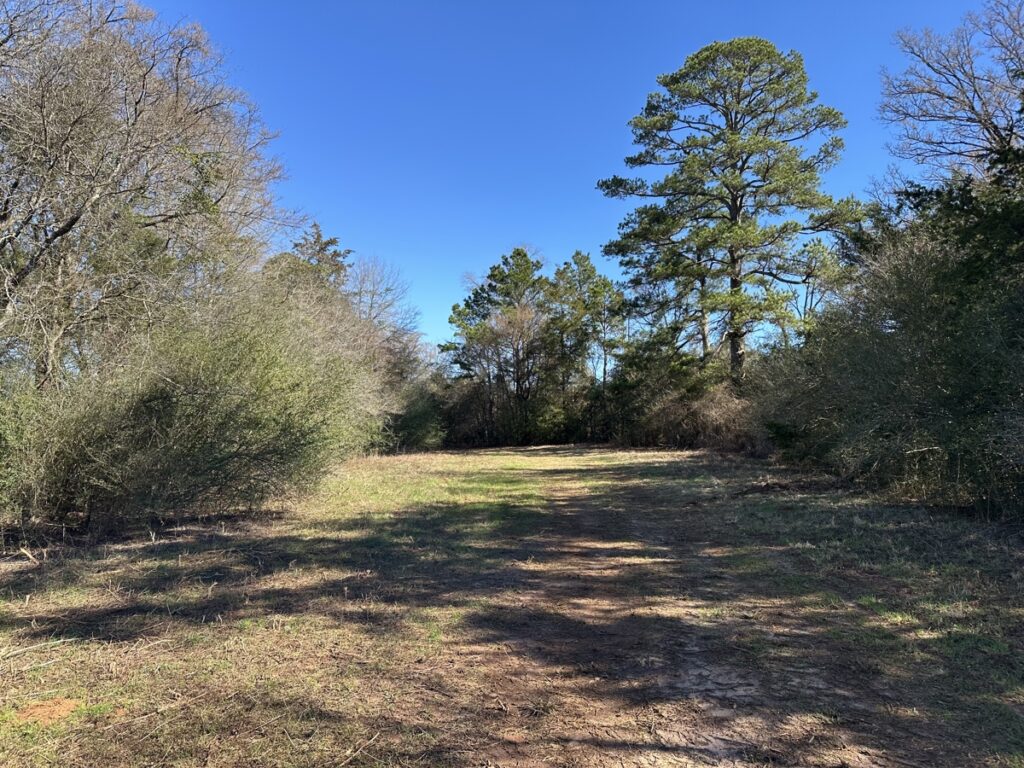 Property photo for land for sale in Cherokee County Texas