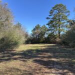Property photo for land for sale in Cherokee County Texas